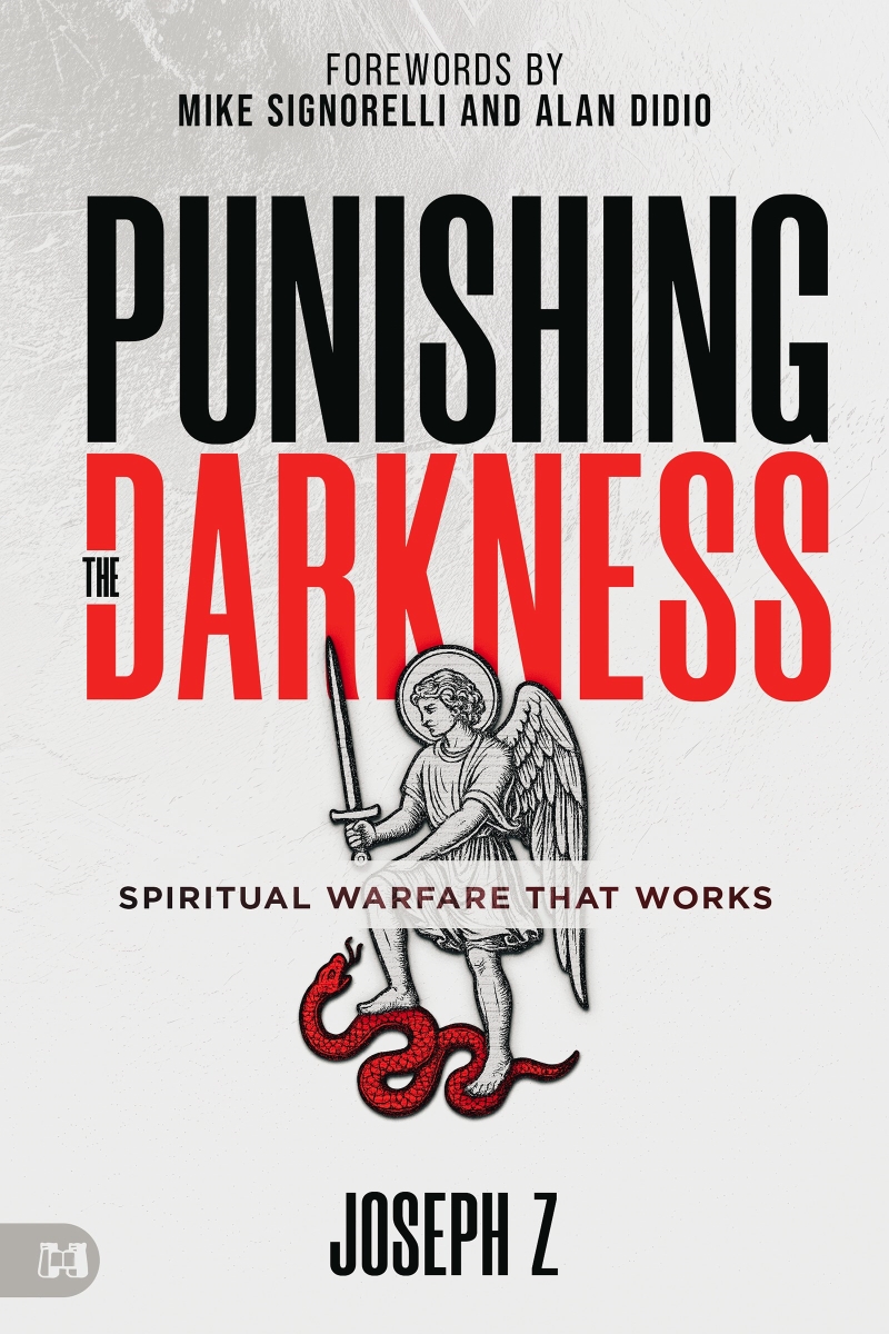 696372 Punishing the Darkness Book