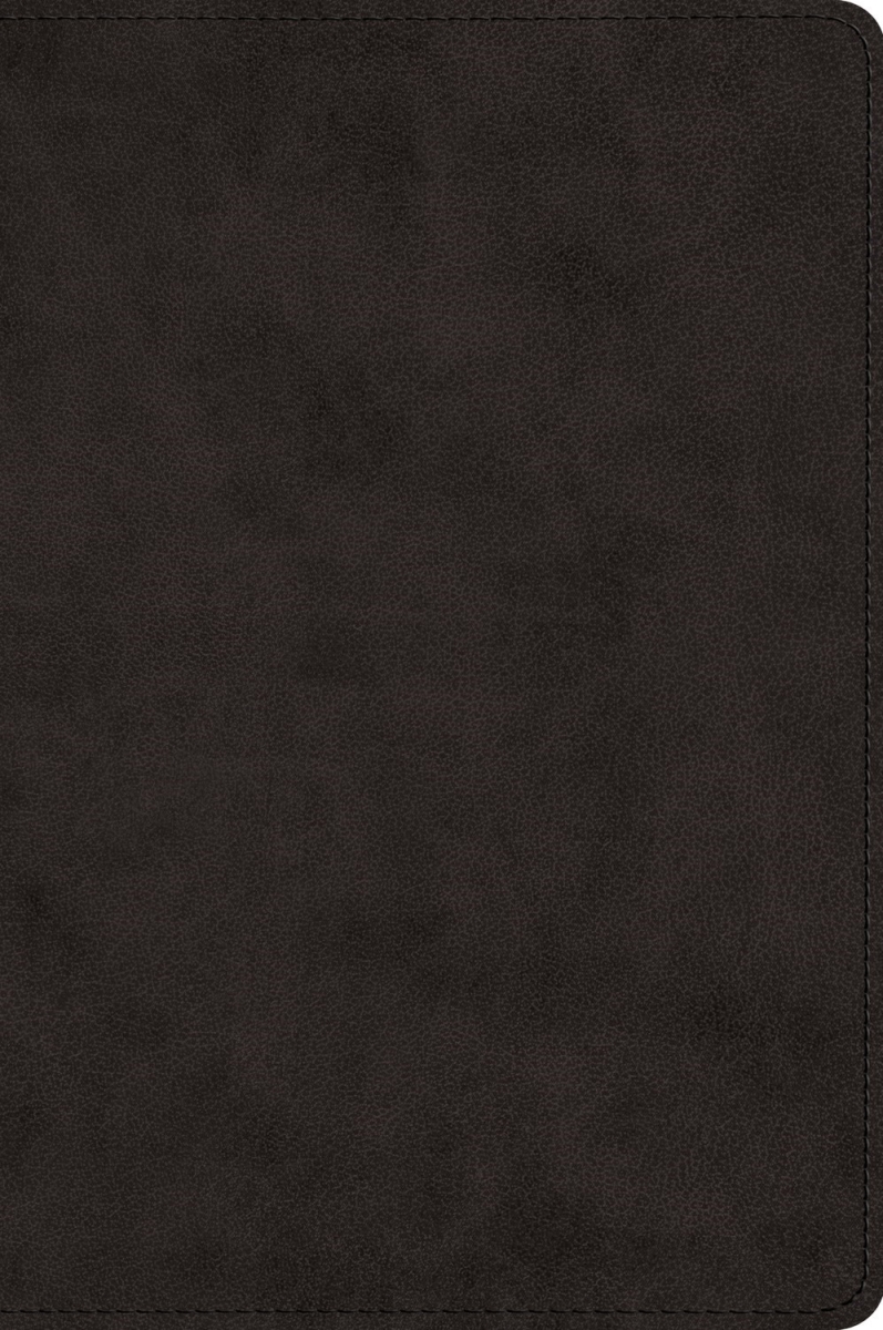 711694 ESV Large Print Bible - Black Trutone