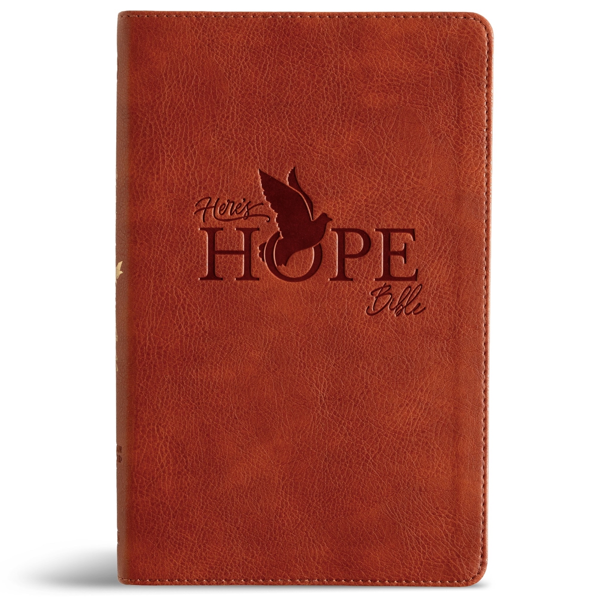 710478 CSB Heres Hope Bible - Burnt Sienna Leathertouch
