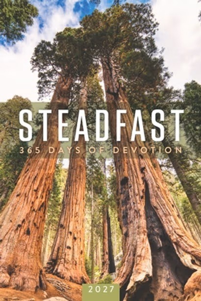 702447 Steadfast 2027 Book