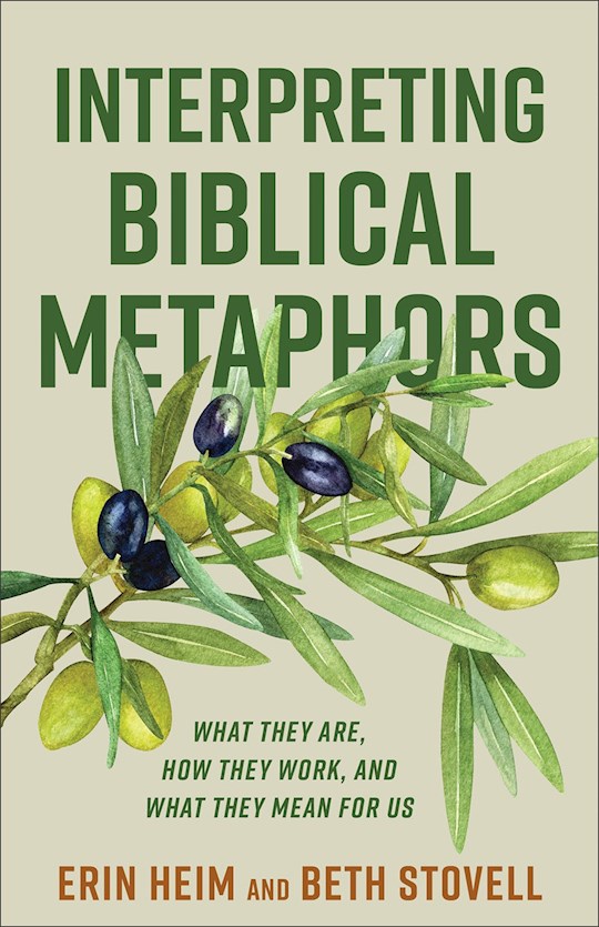 76536X Interpreting Biblical Metaphors Book