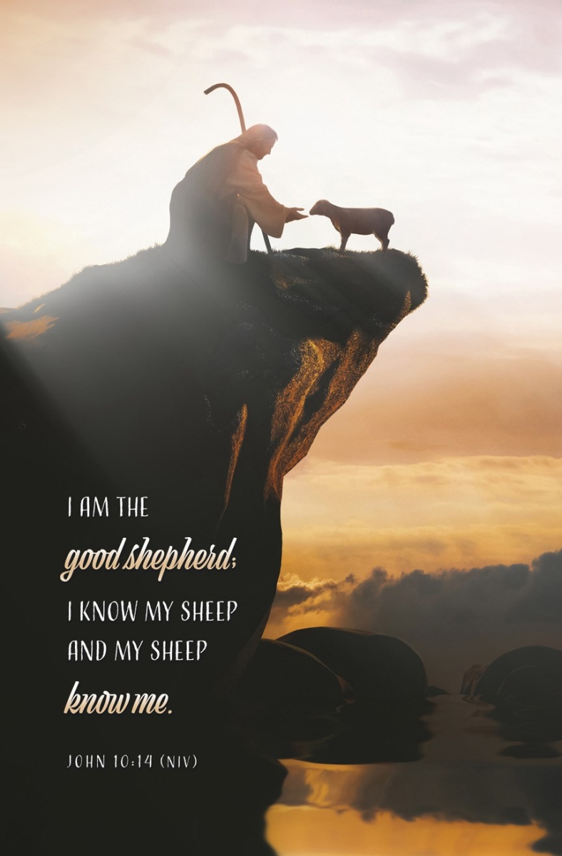 808732 I Am The Good Shepherd John 10-14 NIV General Bulletin - Pack of 100