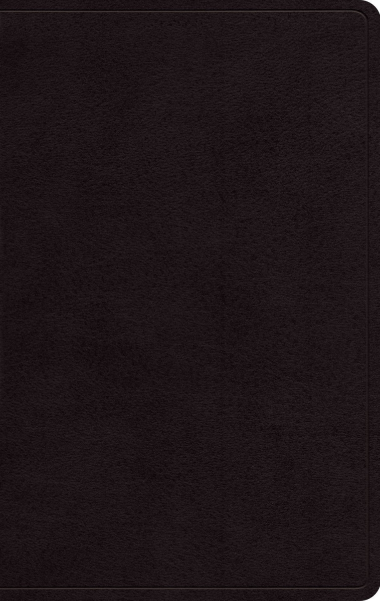 581255 ESV Giant Print Personal Size Bible - Black Genuine Leather