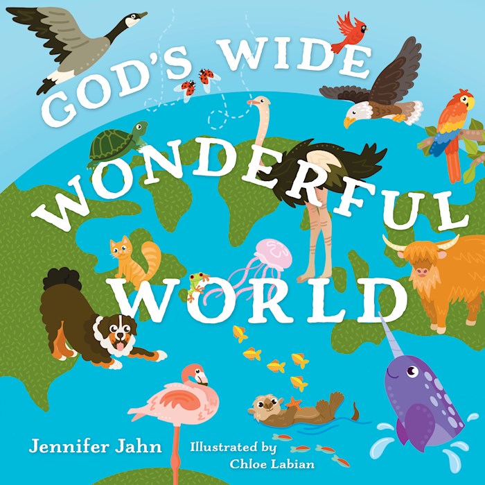 41260X Gods Wide Wonderful World Book
