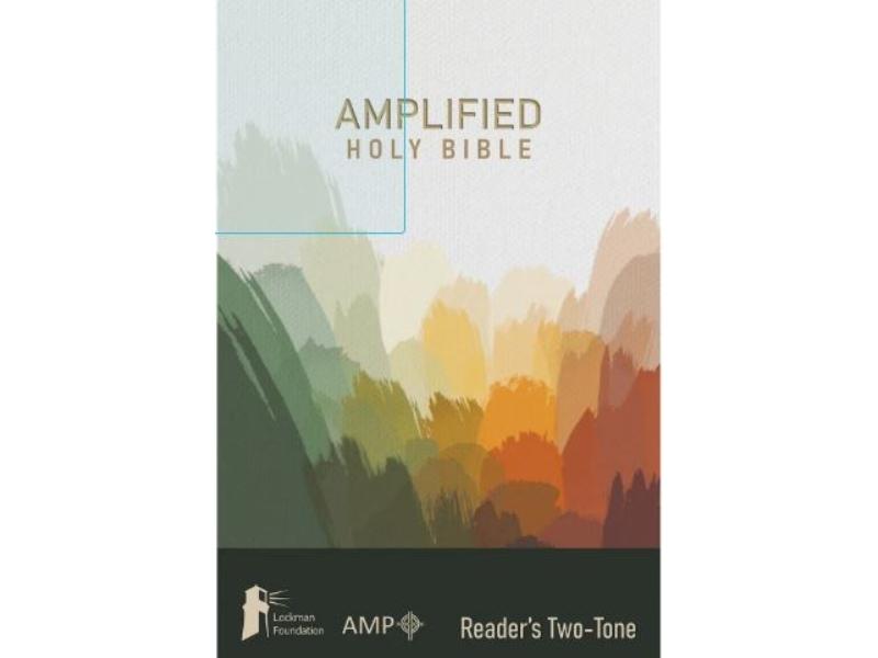 802960 Amplified Two-Tone Readers Holy Bible with Olive Cloth Over Board