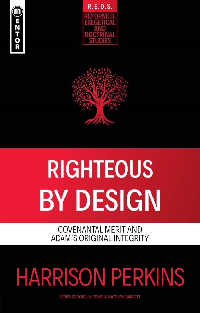 350776 Righteous by Design Book