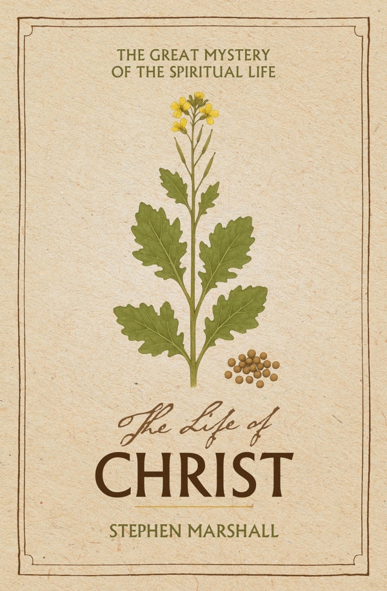 755876 The Life of Christ Book