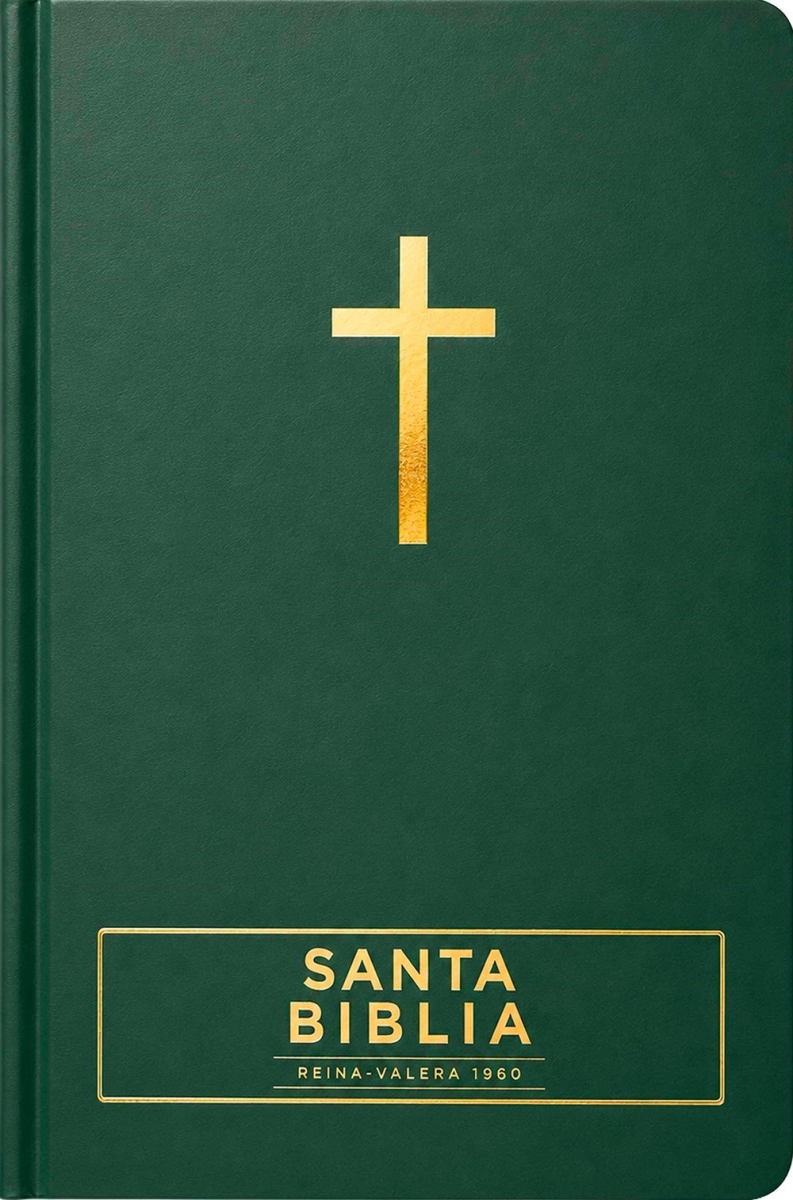 802775 RVR 1960 Santa Biblia, Visual Con Mapas Mentales - Holy Bible, Visual with Mind Maps - Green Hardcover