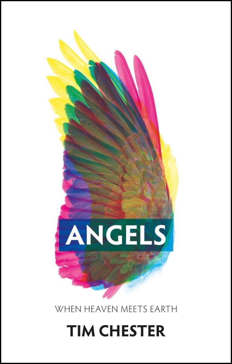 232487 Angels When Heaven Meets Earth Chester, Tim Book