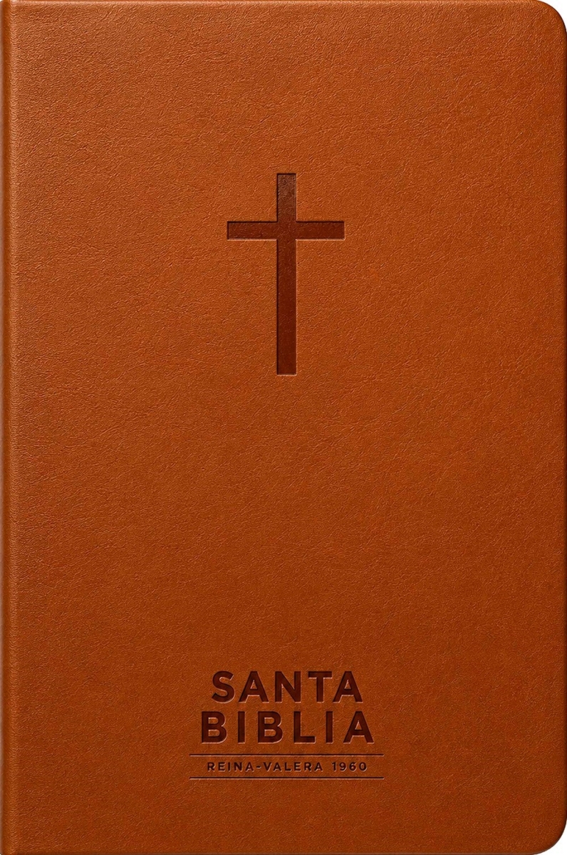 802771 Rvr 1960 Santa Biblia, Visual Con Mapas Mentales - Holy Bible, Visual with Mind Maps - Brown Leatherlike