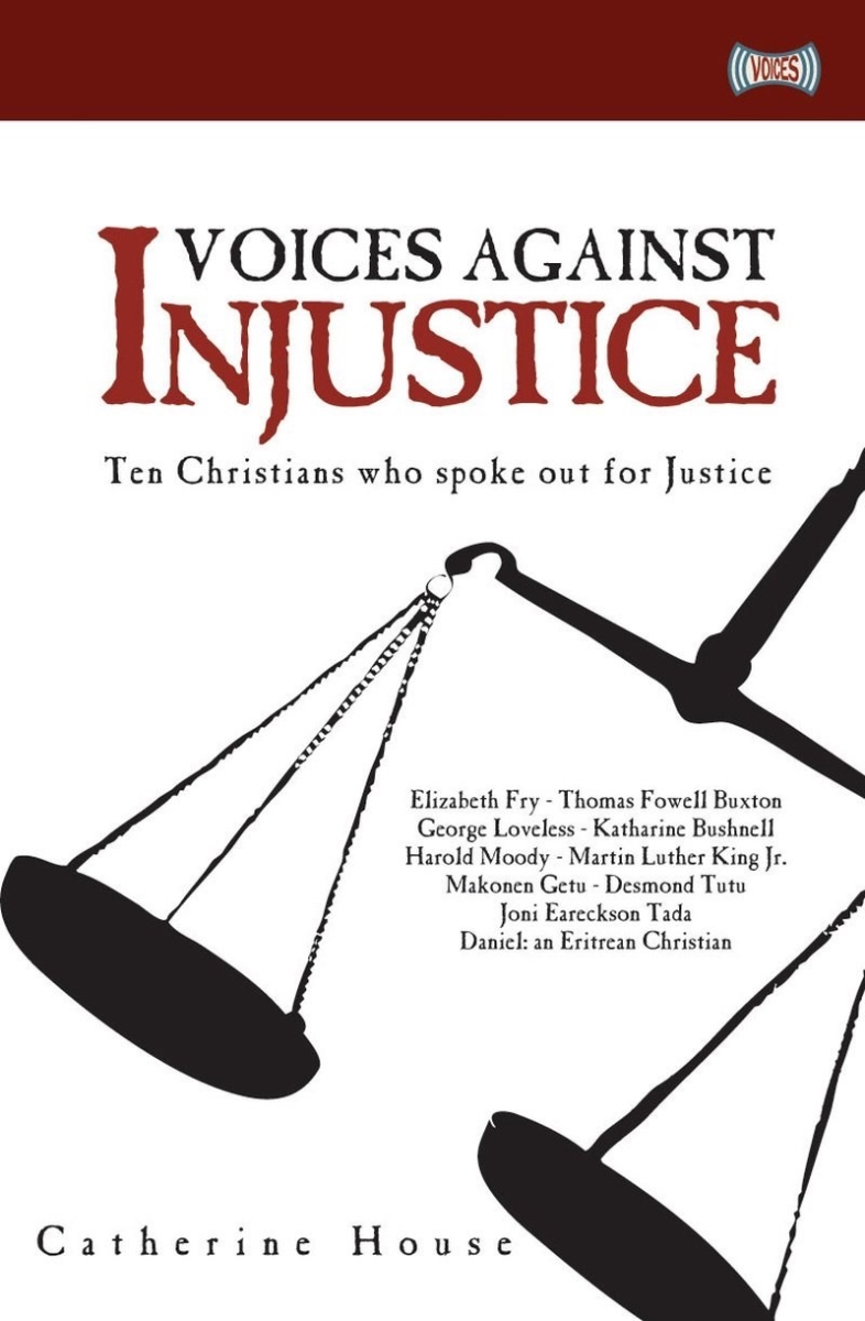 174987 Voices Against Injustice Book