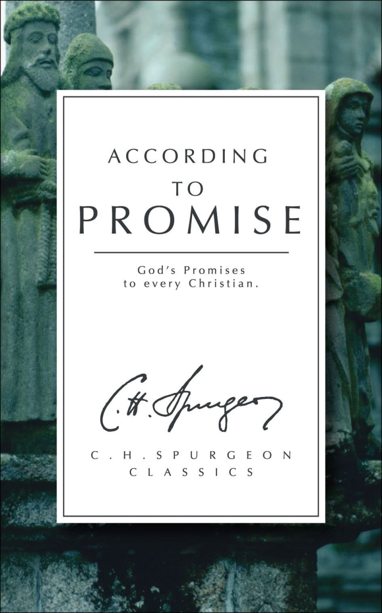 817373 According To Promise Book