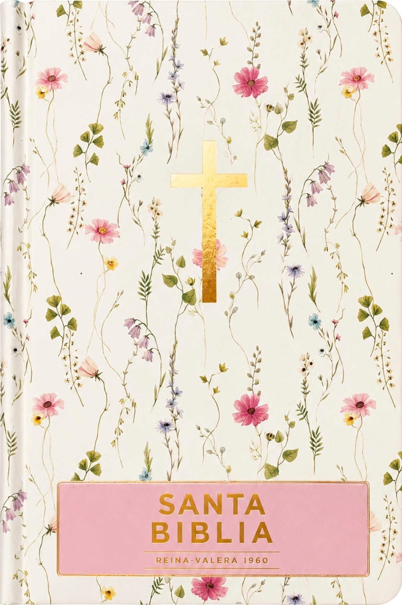 802774 RVR 1960 Santa Biblia, Visual Con Mapas Mentales - Holy Bible, Visual with Mind Maps - Floral Hardcover
