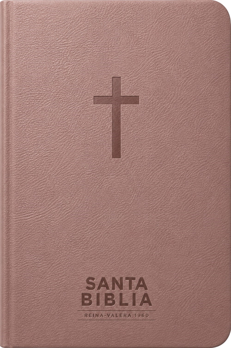802773 RVR 1960 Santa Biblia, Visual Con Mapas Mentales - Holy Bible, Visual with Mind Maps - Pink Leatherlike