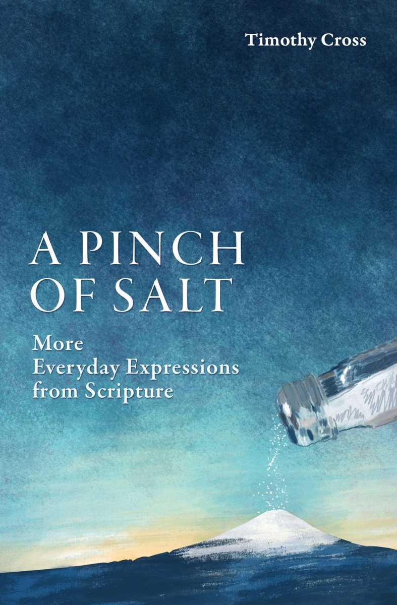 253960 A Pinch of Salt Book