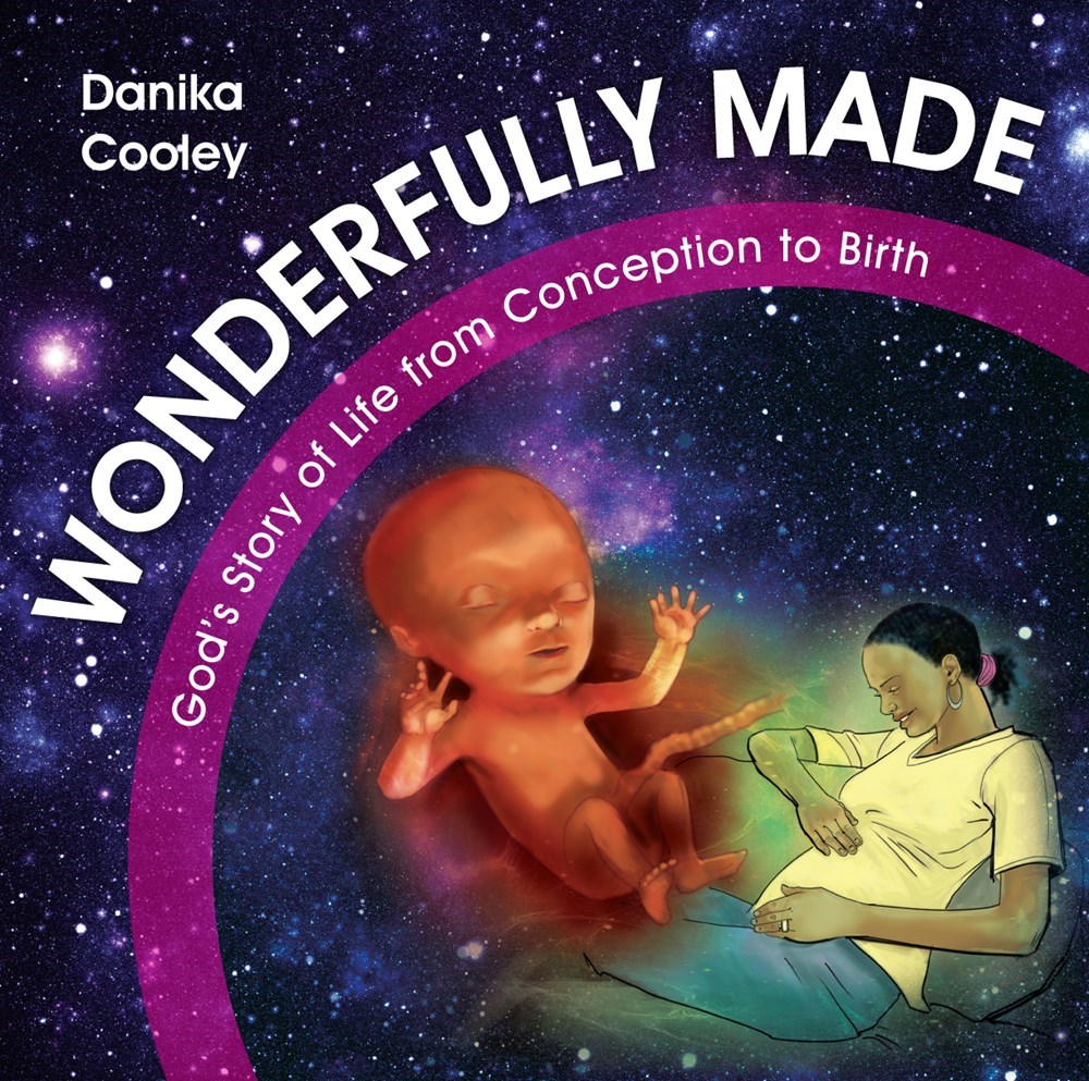 17502X Wonderfully Made Book