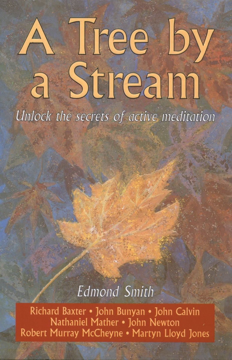 693737 Tree by A Stream Book