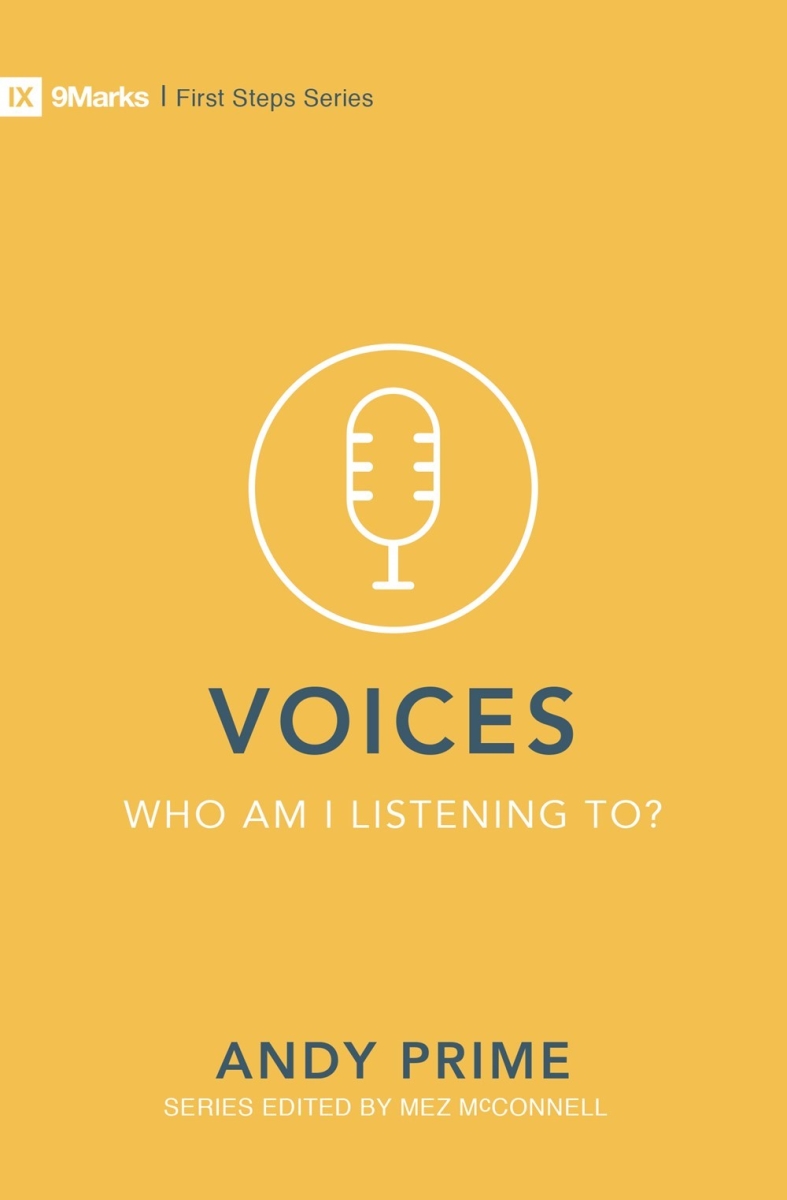 21009X Voices Who Am I Listening To Book