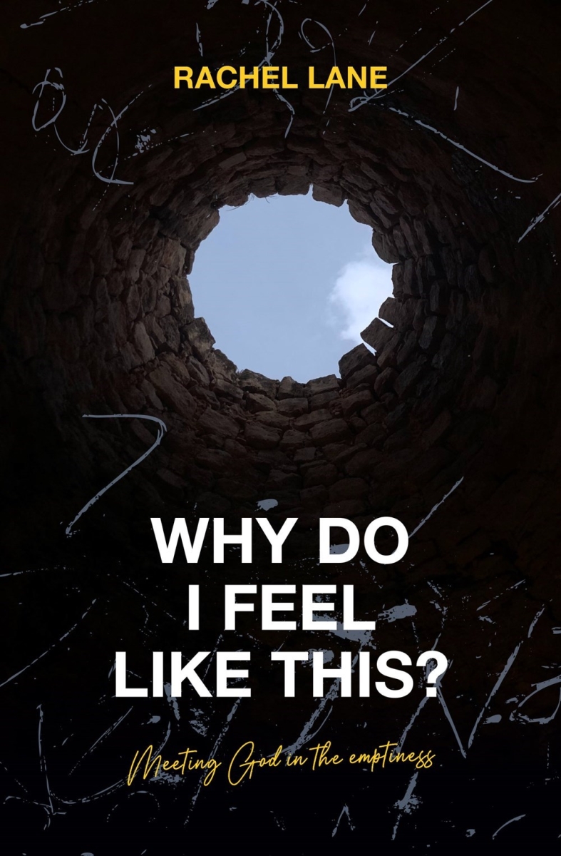 245095 Why Do I Feel Like This Book