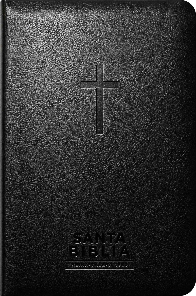 802772 RVR 1960 Santa Biblia, Visual Con Mapas Mentales - Holy Bible, Visual with Mind Maps - Black Leatherlike