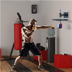 Picture of 212 Main A91-203 28 x 23.5 x 26.75 in. Wall Mounted Speedball for Boxing - Classic Black&#44; Deep Red&#44; Royal Blue & Pure White