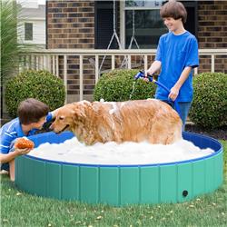 Picture of 212 Main D01-015GN 12 x 63 in. Dog Bathing Tub&#44; Green & Blue
