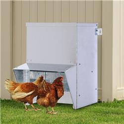Picture of 212 Main D11-003 13 in. Feed PawHut Automatic Chicken Feeder