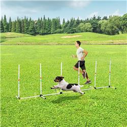 Picture of 212 Main D07-020 PawHut Sturdy Dog Weaves Poles Pet Speed & Agility Equipment