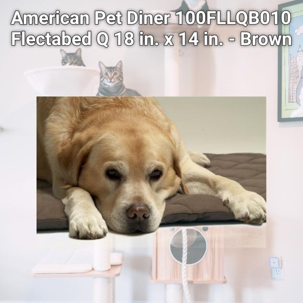Picture of American Pet Diner 100FLLQB010 Flectabed Q 18 in. x 14 in. - Brown