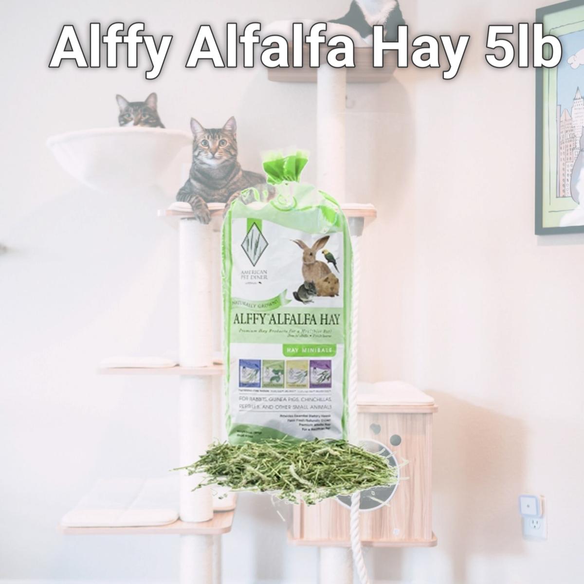 Picture of American Pet Diner 152 Alffy Alfalfa Hay 5lb