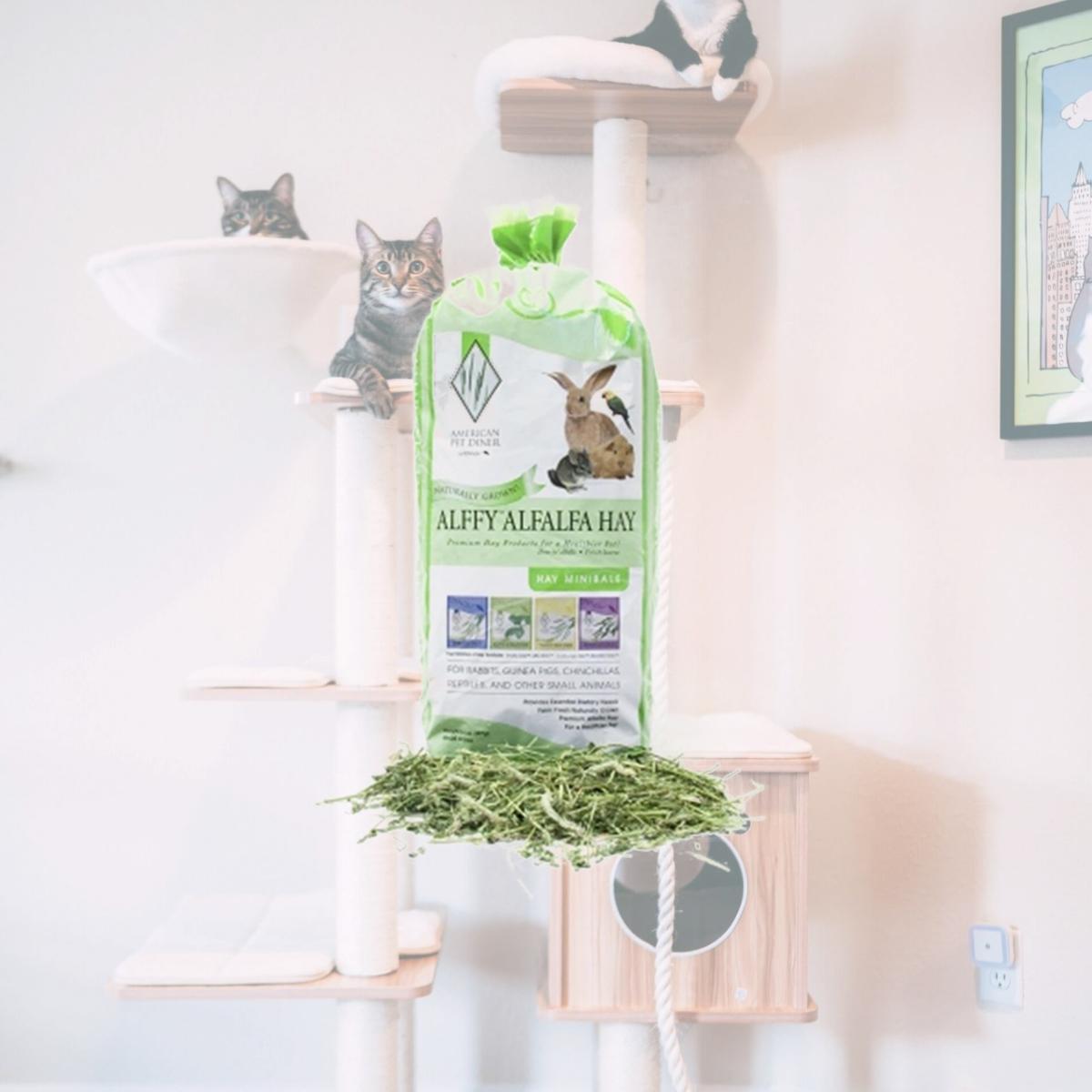 Picture of American Pet Diner 152 Alffy Alfalfa Hay 5lb