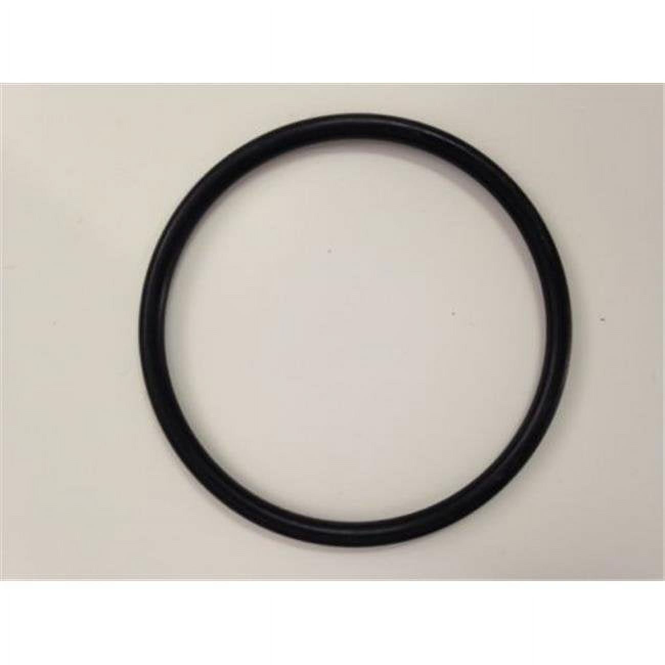 Picture of Aquascape 29486 Replacement O-Ring for the 3 in. Check Valve