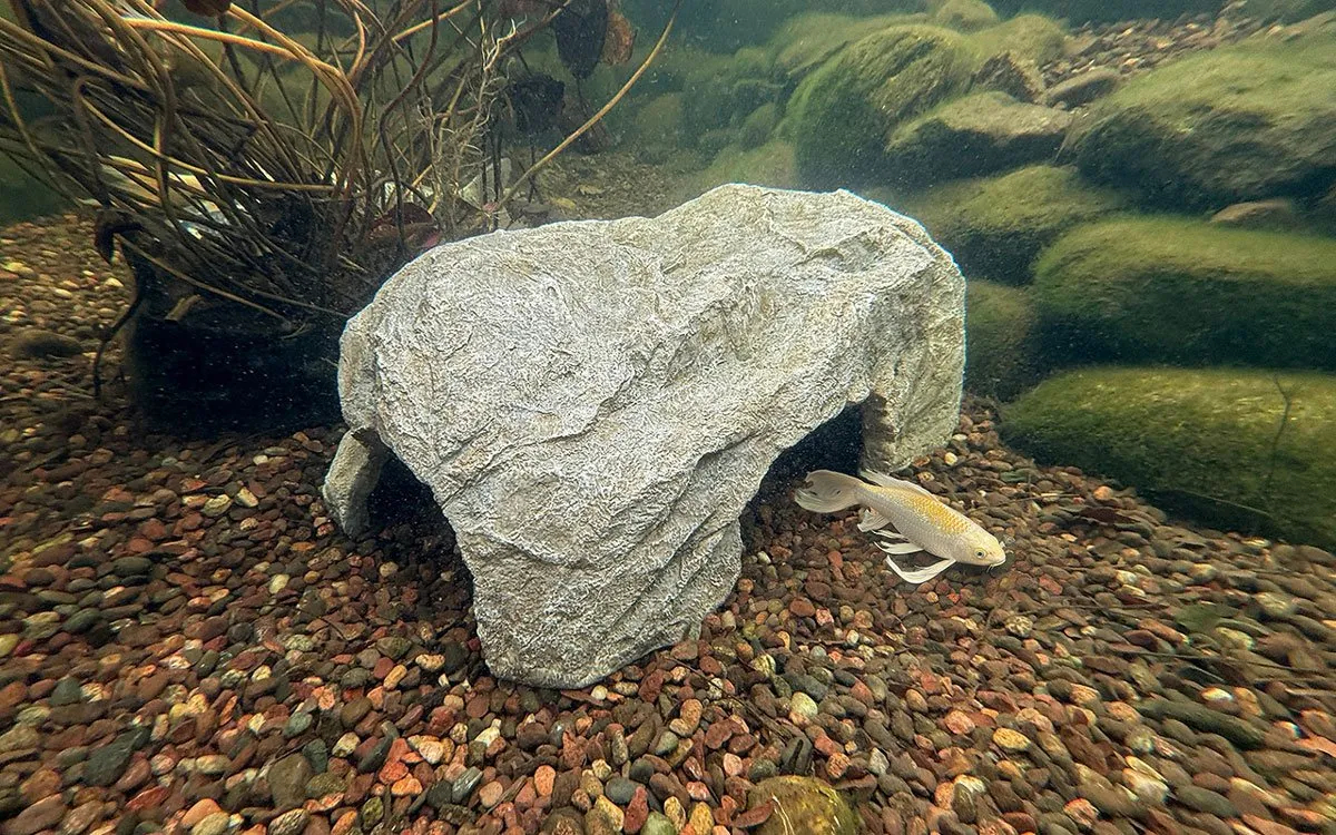 78419 Faux Rock Fish Cave - 30 x 18 in.