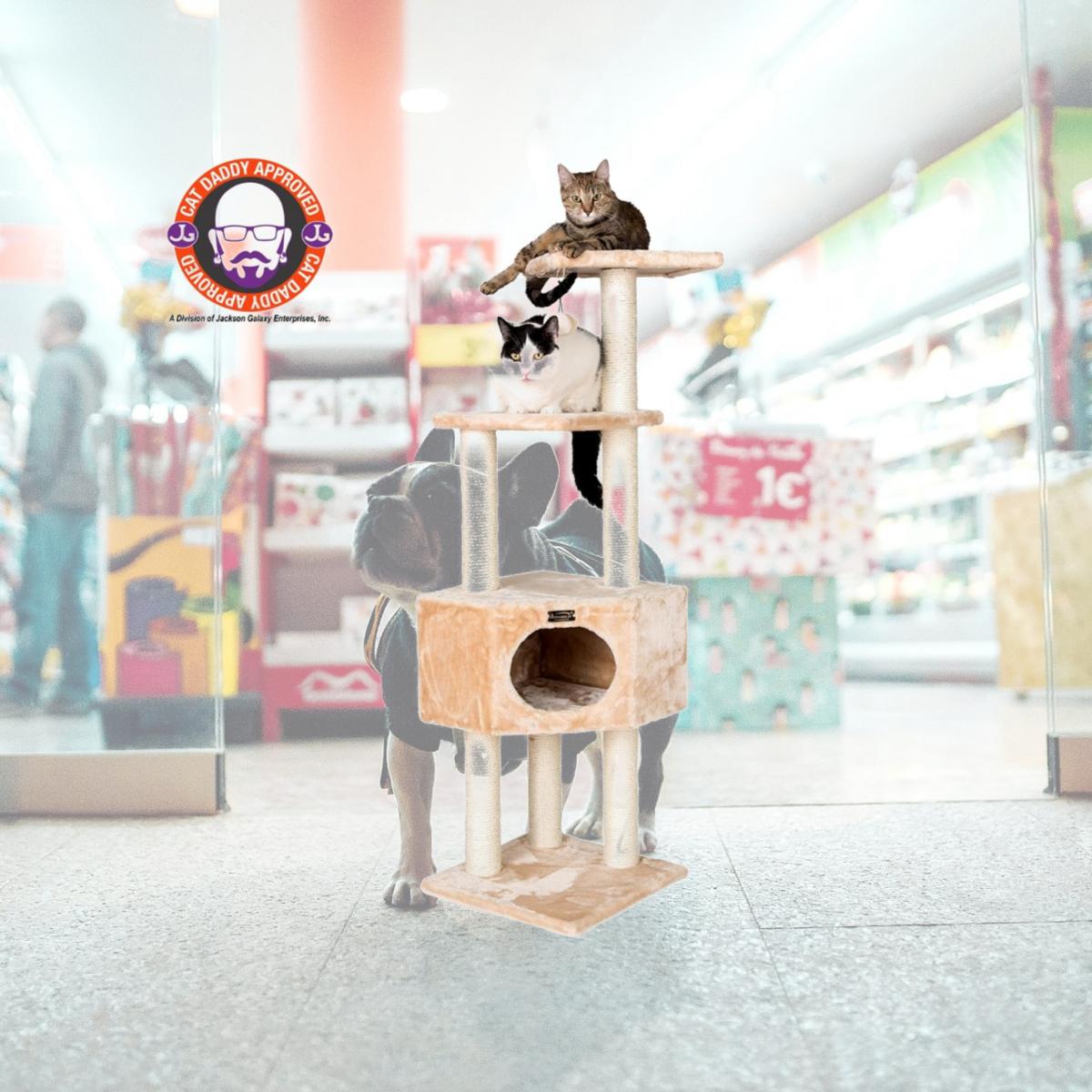 Picture of Armarkat 3 Tier Real Wood Cat Tree  Armarkat Scratch furniture A5201  Beige