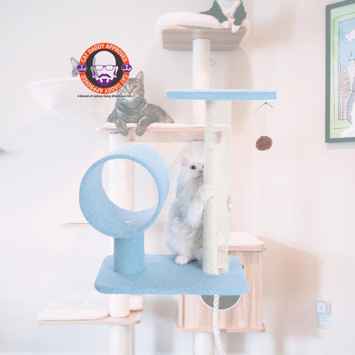 Picture of Armarkat Sky Blue 25&quot; Real Wood Cat Tree With Scratcher And Tunnel for Privacy And Hiding  B2501