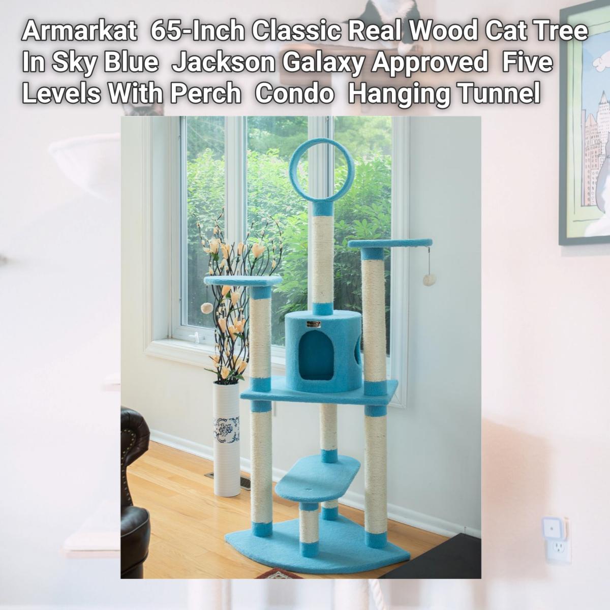 Picture of Armarkat B6605 65-Inch Classic Real Wood Cat Tree In Sky Blue  Jackson Galaxy Approved  Five Levels With Perch  Condo  Hanging Tunnel