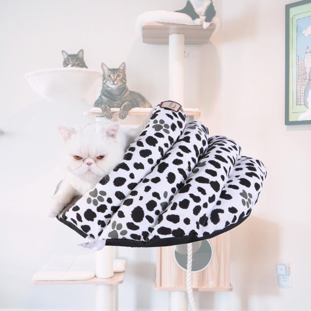 Picture of Aeromark C19HZY-HL Armarkat Pet Bed Cat Bed 20 x 11 x 20 - Sage Green & Pawprint