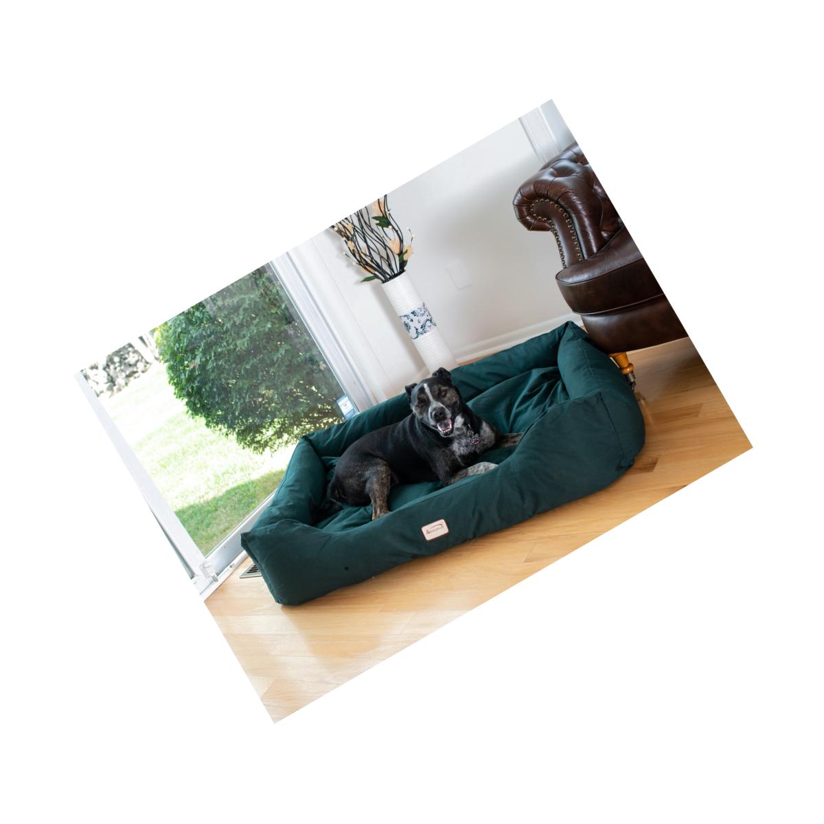 Picture of Aeromark D01FML-L Armarkat Pet Bed 41 x 30 x 10 - Laurel Green