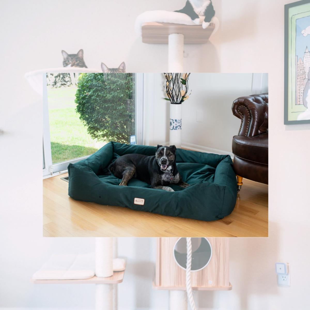 Picture of Aeromark D01FML-L Armarkat Pet Bed 41 x 30 x 10 - Laurel Green