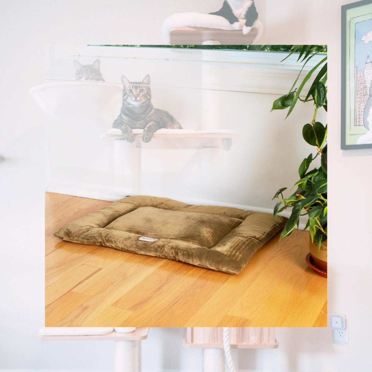 Picture of Aeromark M01CHL-M Armarkat Pet Bed Mat-Sage Green 27 x 19 x 2.5
