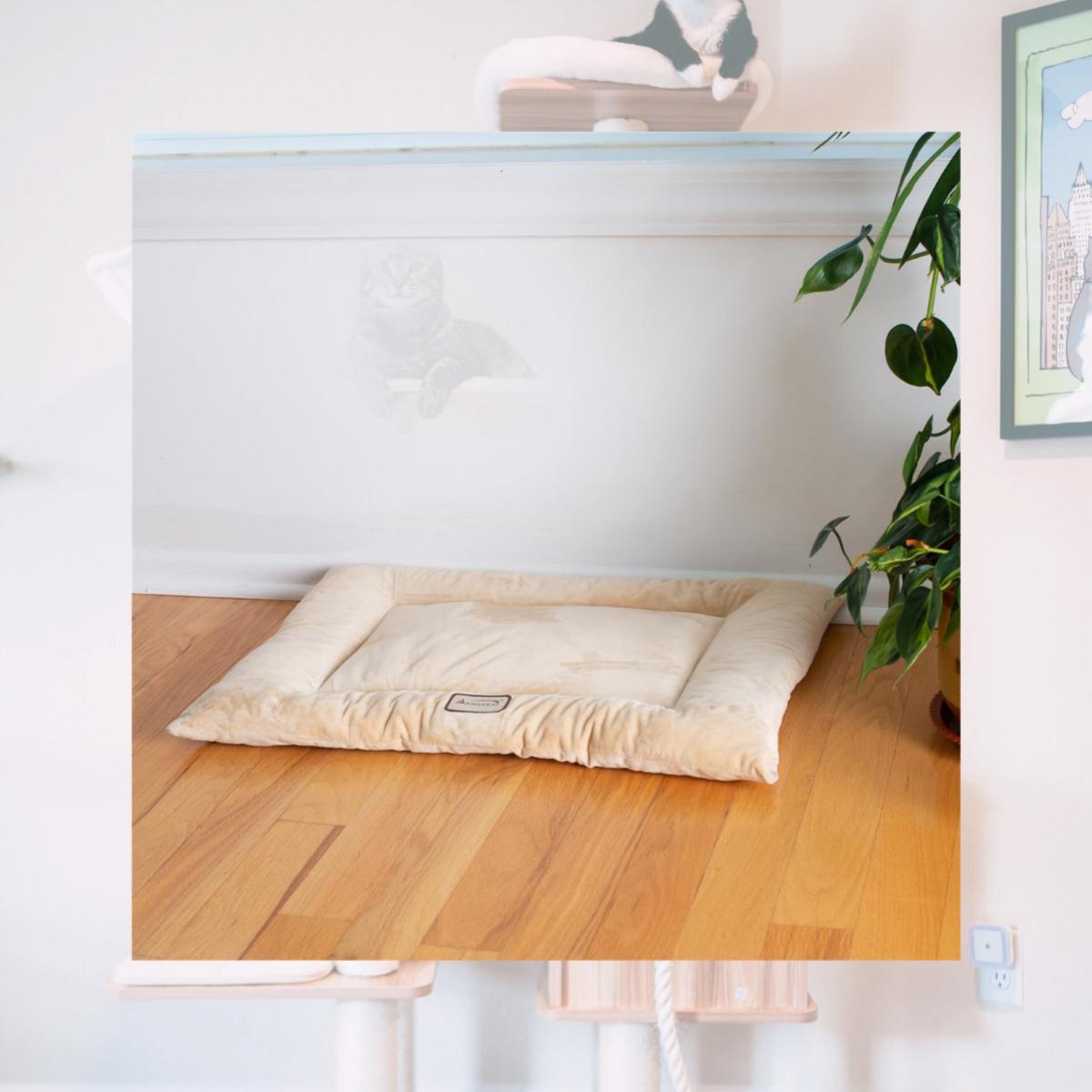 Picture of Aeromark M01CMH-M Armarkat Pet Bed Mat-Beige 27 x 19 x 2.5