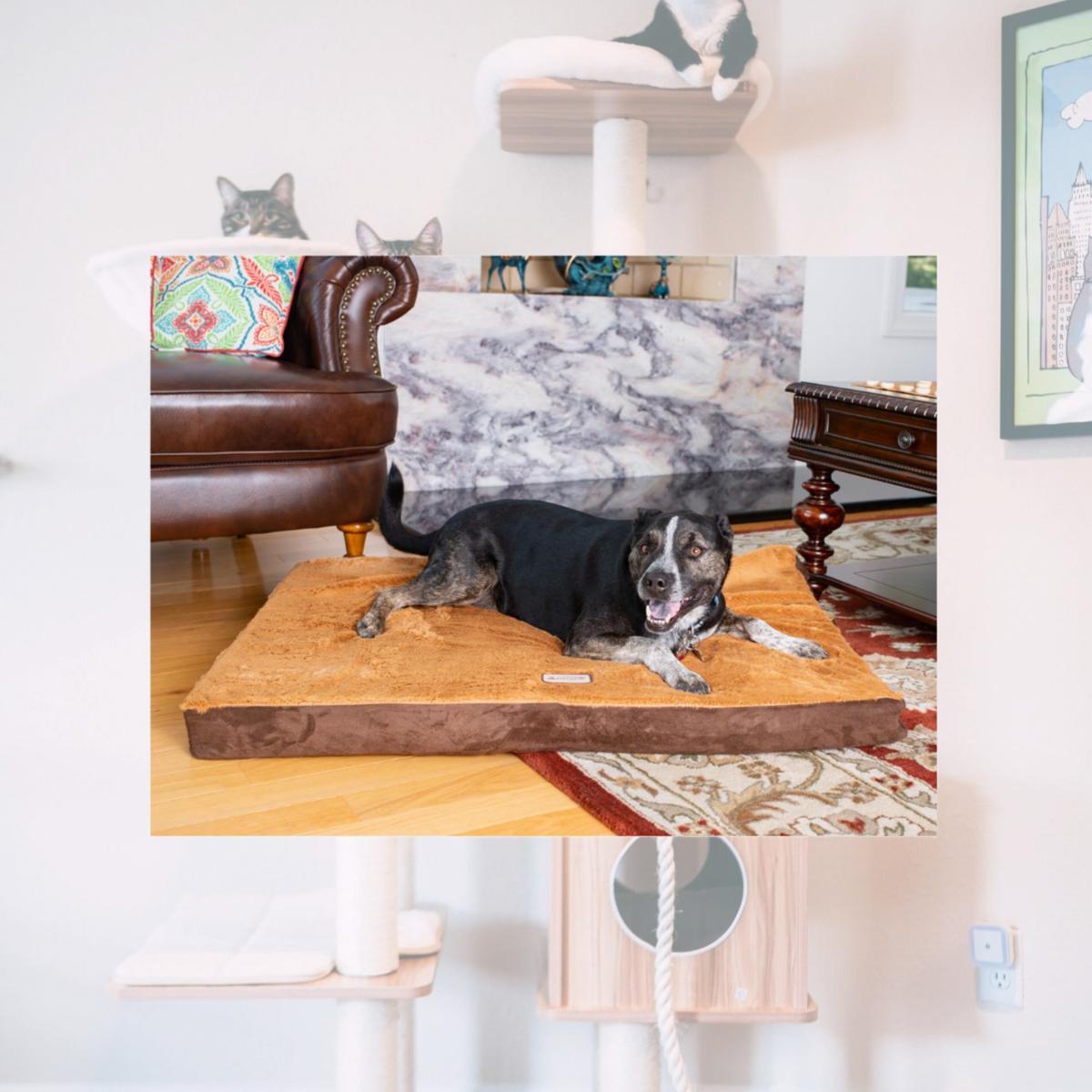 Picture of Aeromark M06HKF-ZS-L Armarkat Pet Bed Mat 39 x 3 x 27 - Mocha & Brown