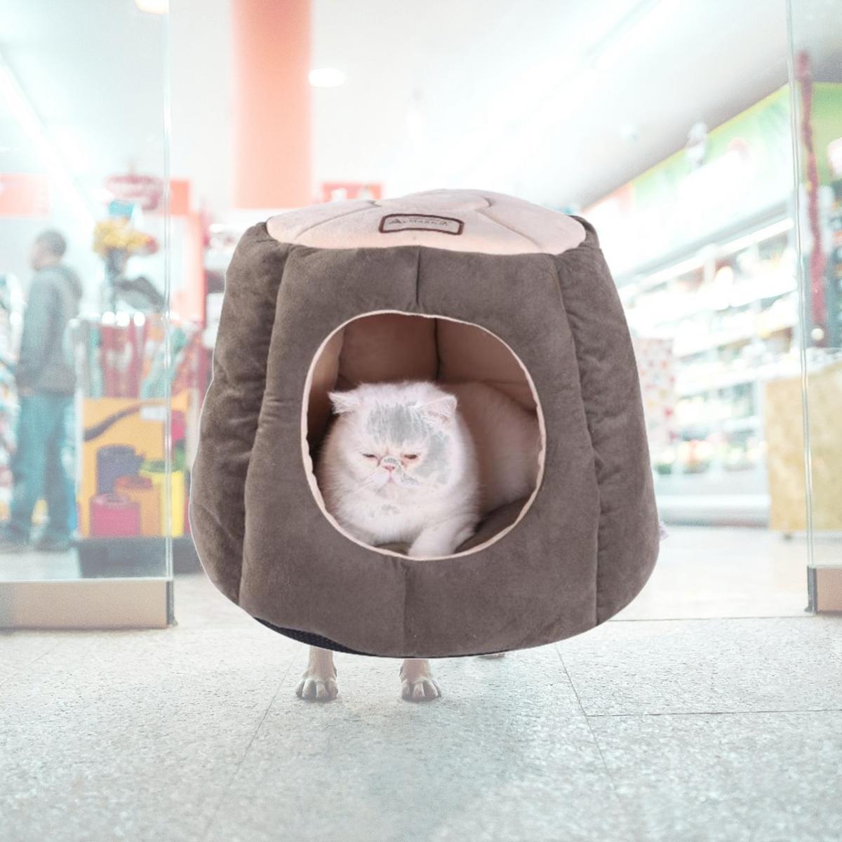Picture of AeroMark C30HML-MH Armarkat Cat Bed- Laurel Green and Beige C30HML-MH
