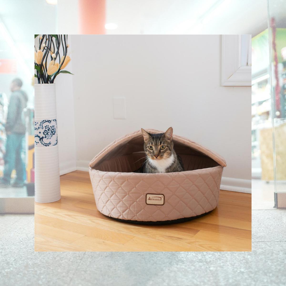 Picture of AeroMark C33HFS-FS-M Armarkat Cat Bed- Medium- Light Apricot C33HFS-FS-M