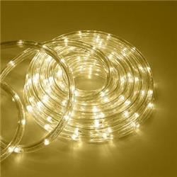 Picture of Everstar Merchandise E62 ES64348CX LED Rope Light