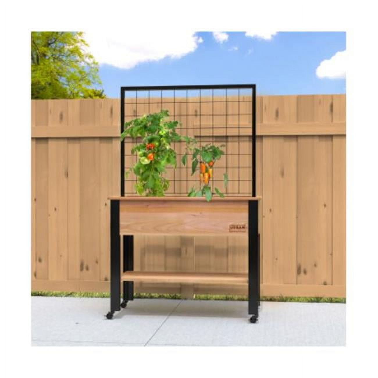 Products A77 81483 Cedar Elevated Planter
