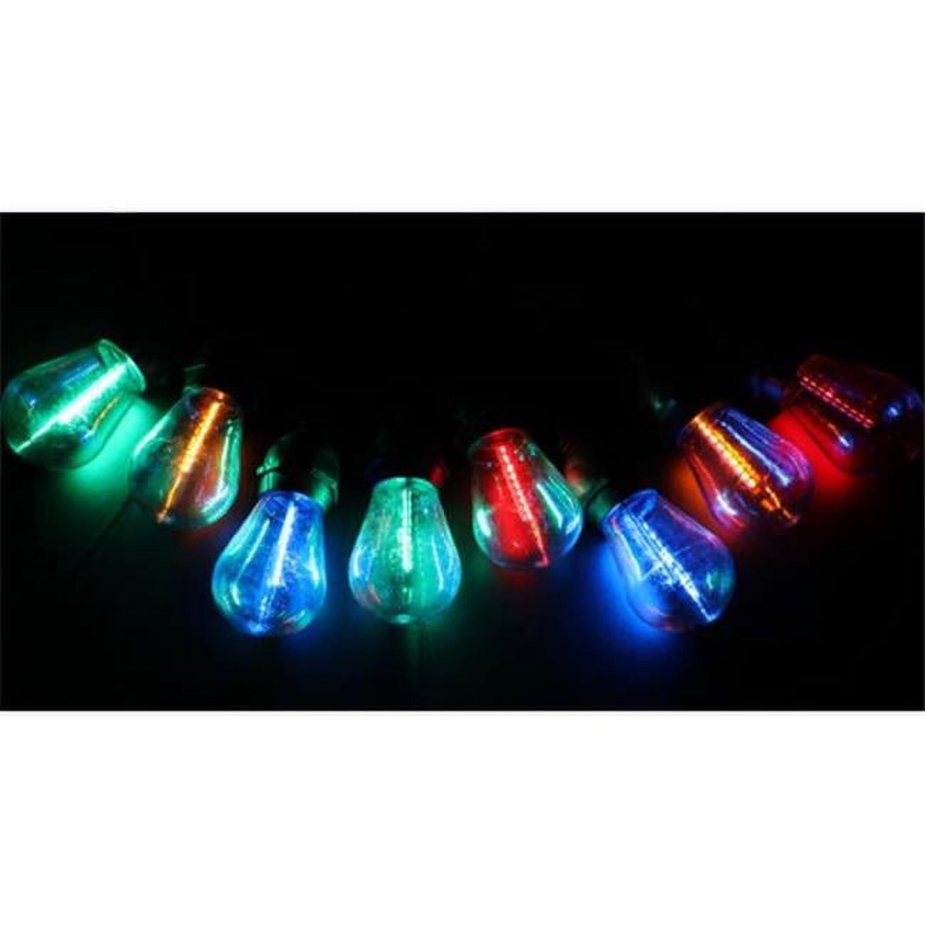 2-in-1 LED Changing String Lights with Multi Lights & Black Wire Color