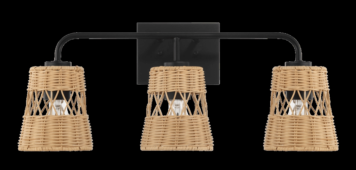 Picture of Ashcroft Furniture WLL03900601 Moonlit Three Lights Wall Sconce with Rattan Shade&#44; Black