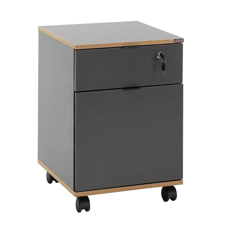 479ADR2501 RKM-311-AX-1 Multi Purpose Cabinet, Anthracite Oak