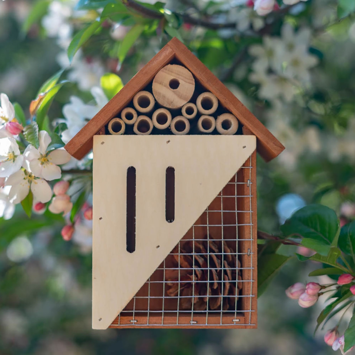 Picture of Touch of Eco 5060 Pollinator House 3-Compartment Wooden Insect Habitat for Bees&#44; Butterflies&#44; and Ladybugs  Natural Bug Home for Garden & Yard  Perfect Gift